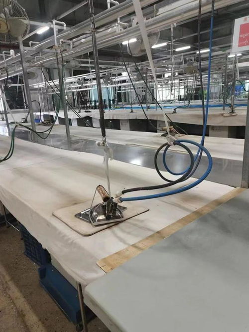 行走在泥濘路上的負債人