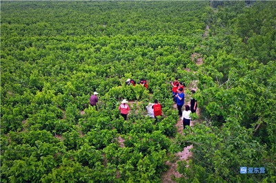 東營(yíng)市新時(shí)代文藝志愿行攝影采風(fēng)創(chuàng)作活動(dòng)在龍居舉行